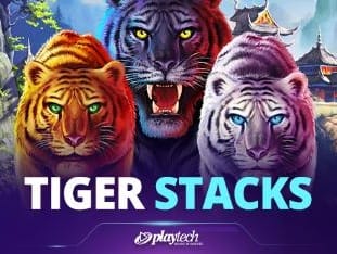 Tiger Stacks game icon